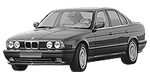 BMW E34 P1169 Fault Code